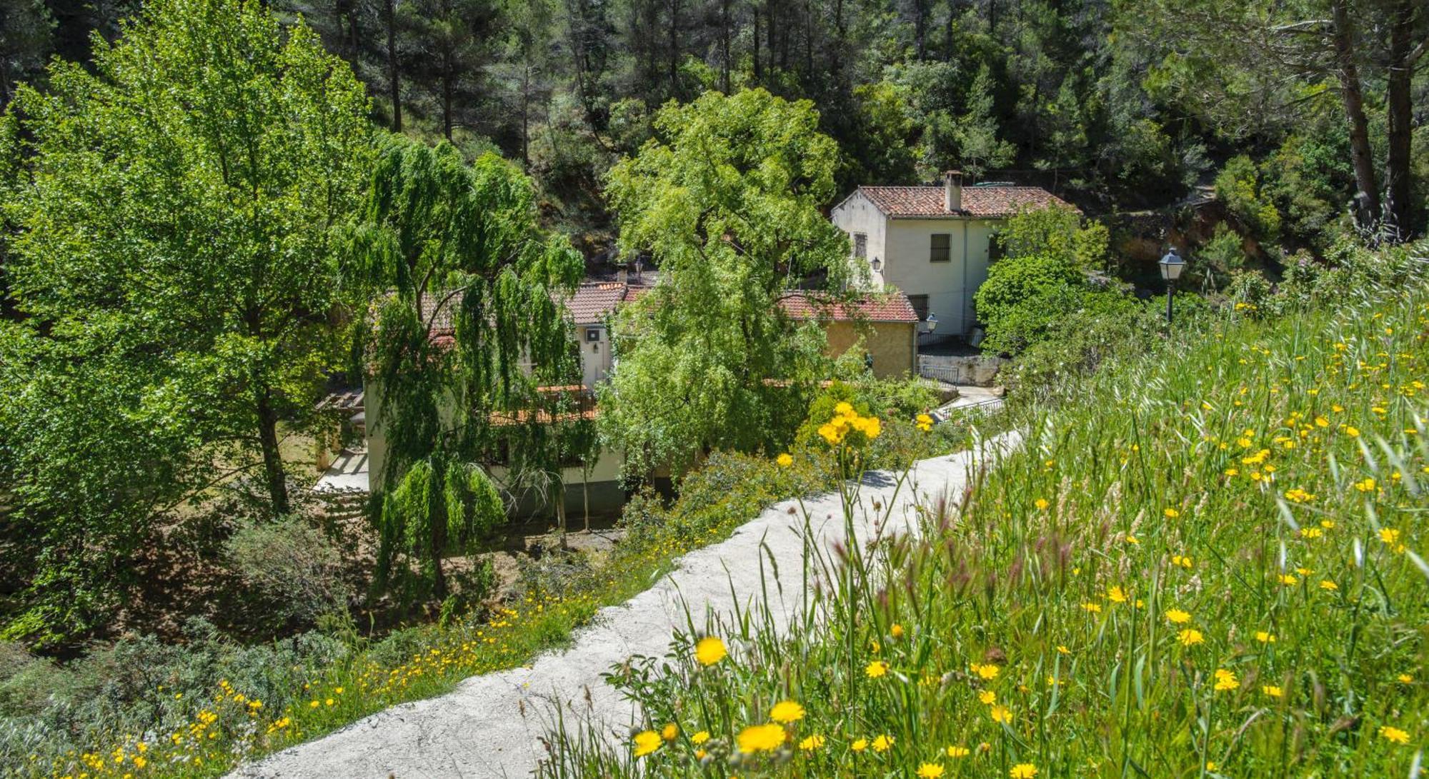 Casa Rural Molino Jaraiz Yeste Exterior photo