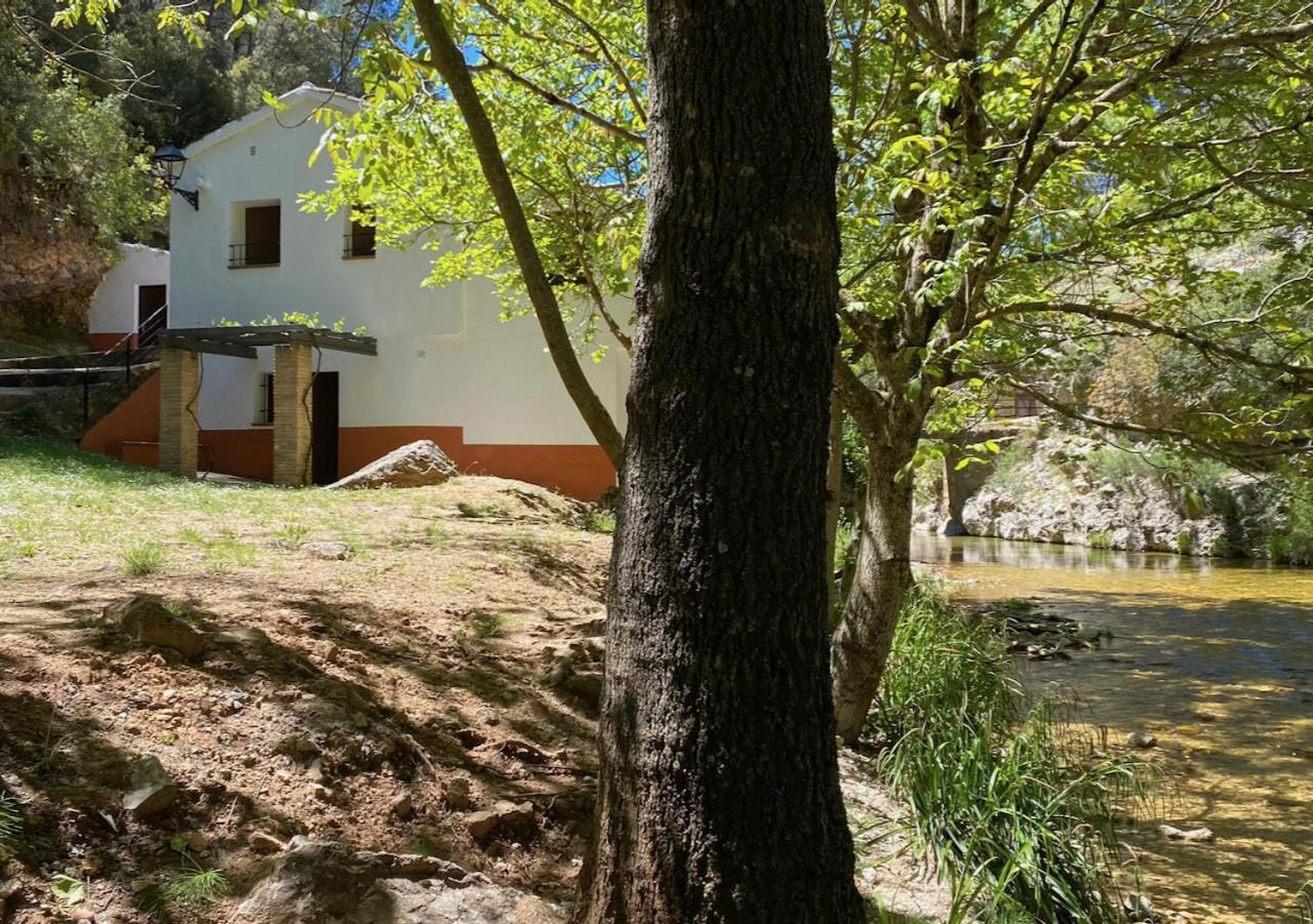 Casa Rural Molino Jaraiz Yeste Exterior photo